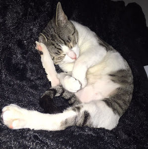 Meet your Posher, Kaylee